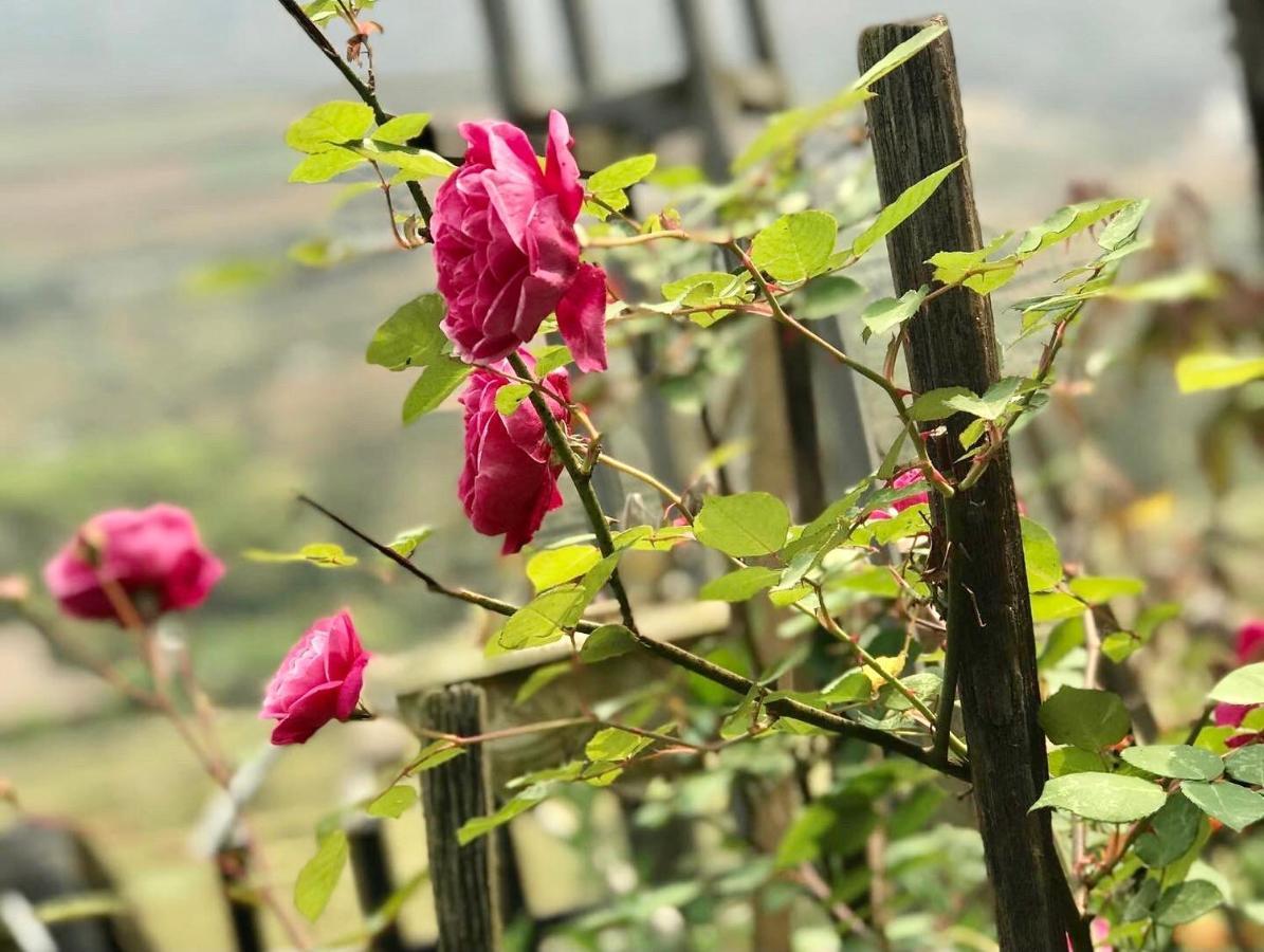 Ta Van Family Homestay Sapa Exterior foto